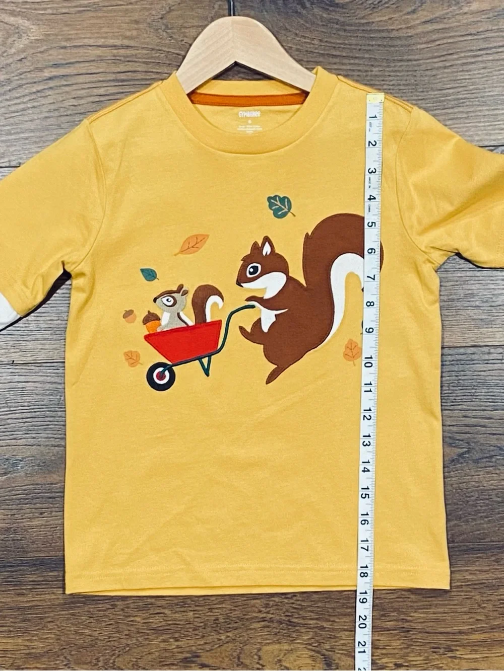 Gymboree Boys ‘Happy Harvest’ Gold and White Top with Striped Socks Size 6
